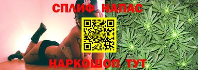 гидра Обь