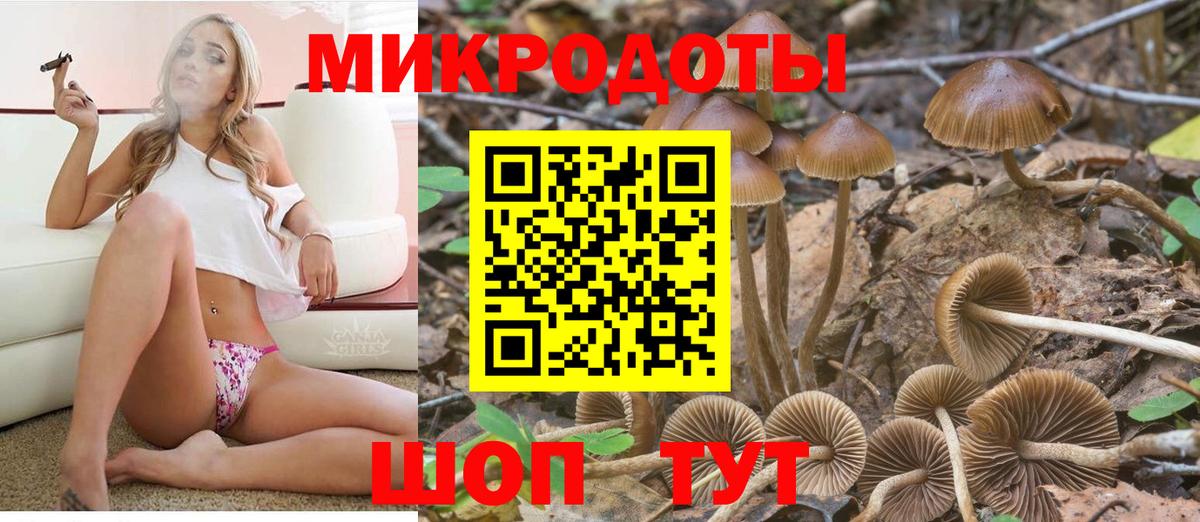 Родники  Псилоцибиновые грибы Psilocybine cubensis  Вход с VPN 